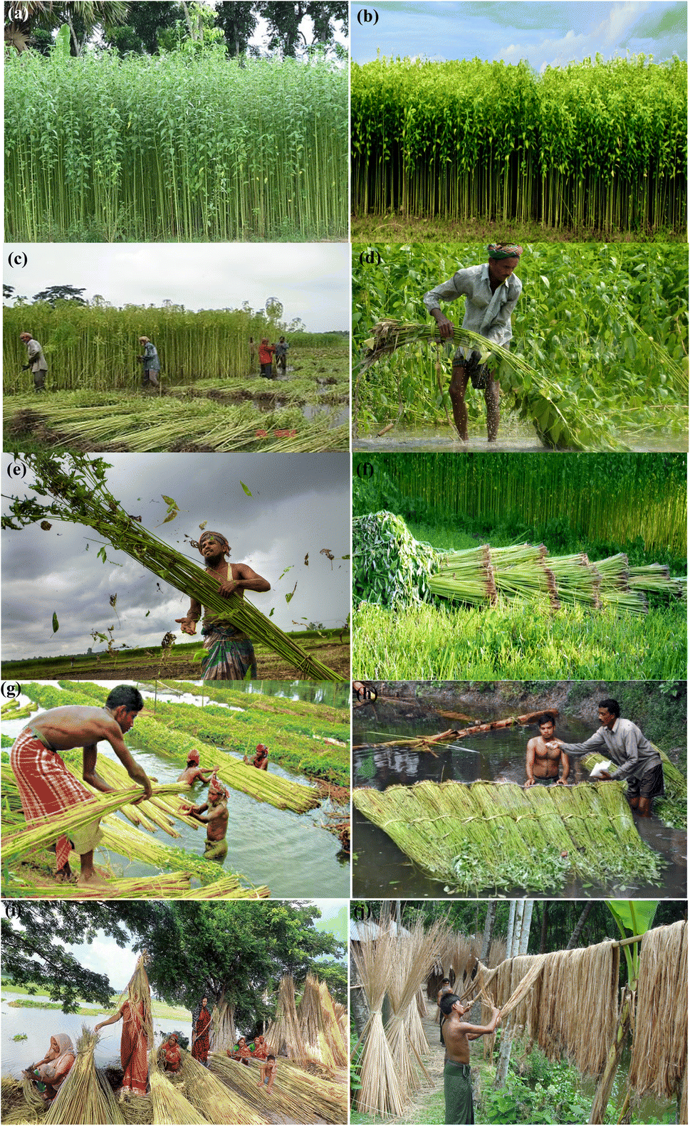 Produzione Jutaverde